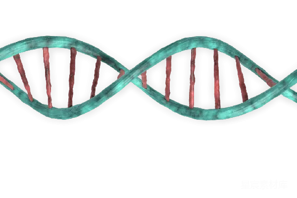元素素材 DNA