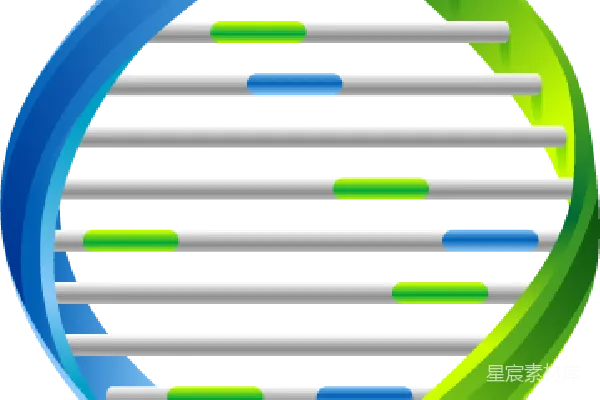 元素素材 DNA