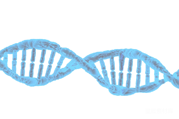 元素素材 DNA