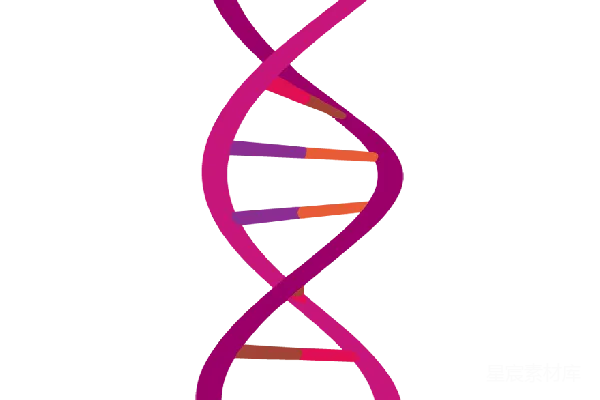 元素素材 DNA
