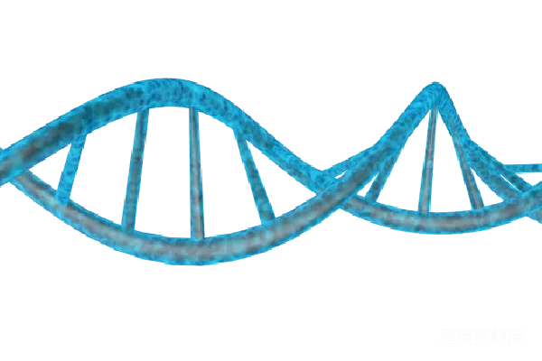 元素素材 DNA
