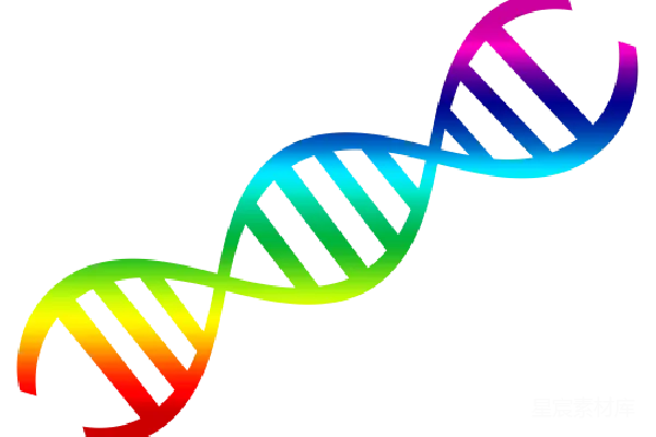元素素材 DNA