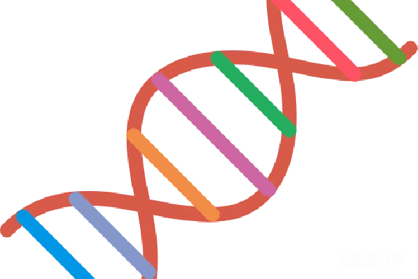 元素素材 DNA