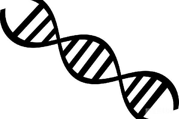 元素素材 DNA