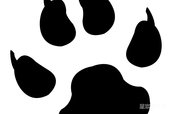 元素素材 爪