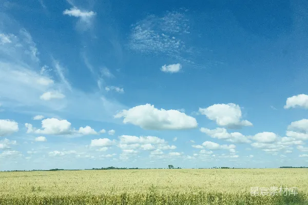 高清摄影 白天绿草地上方有蓝天白云的景象