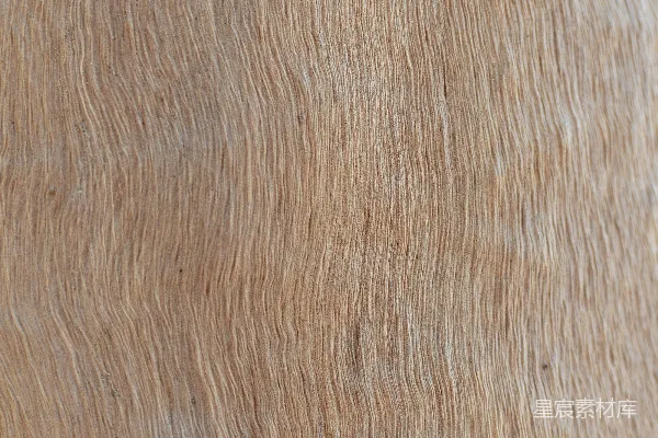 高清摄影 棕色和白色的挂毯
