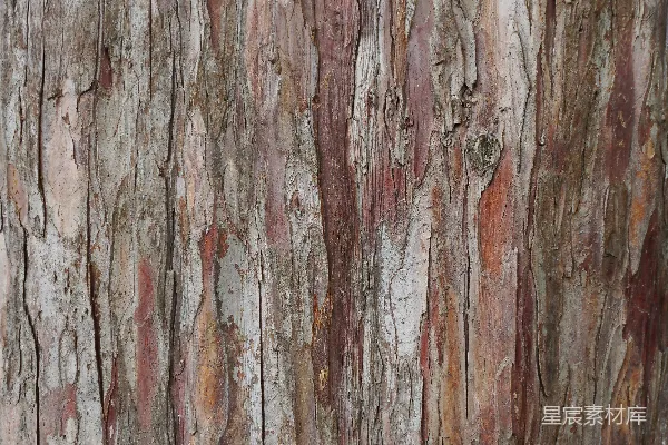 高清摄影 一棵树干的特写，涂有棕色和红色的油漆