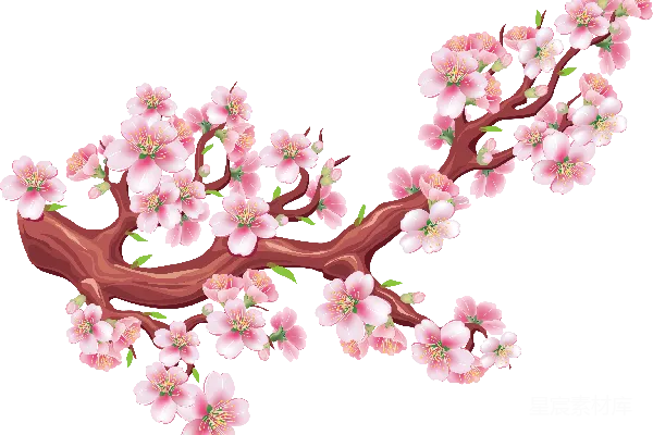 元素素材 樱花