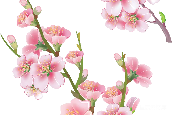 元素素材 透明