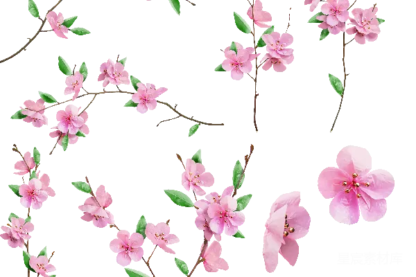 元素素材 樱花