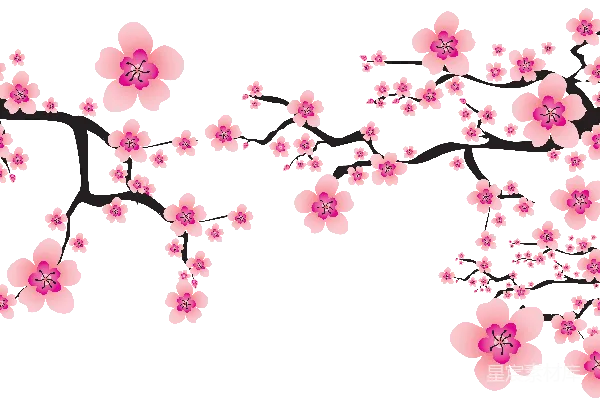 元素素材 樱花