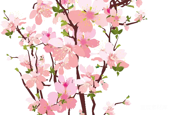 元素素材 樱花