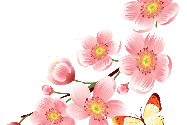 元素素材 PNG