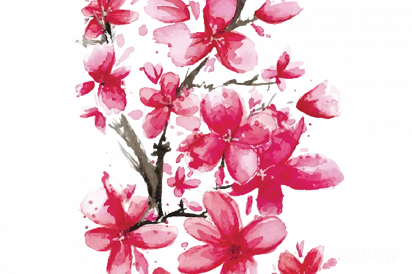 元素素材 樱花