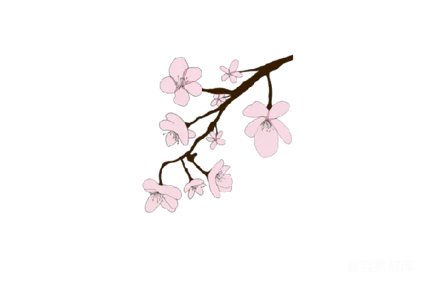 元素素材 樱花