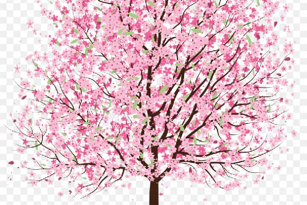 元素素材 樱花