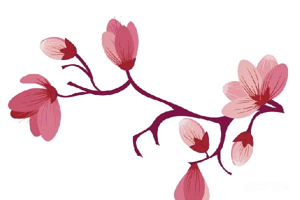 元素素材 樱花