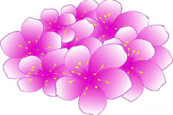 元素素材 樱花