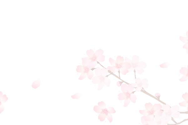 元素素材 粉红樱花飘落的夜晚