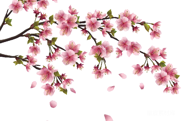 元素素材 樱花