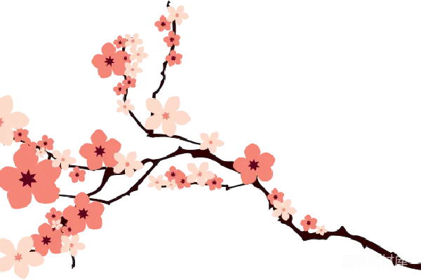 元素素材 盛开的樱花枝条