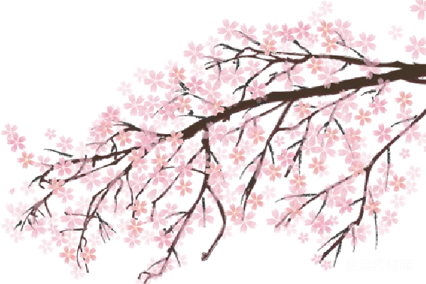 元素素材 樱花