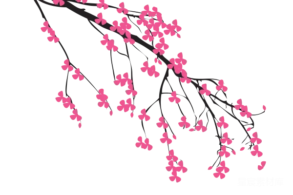 元素素材 樱