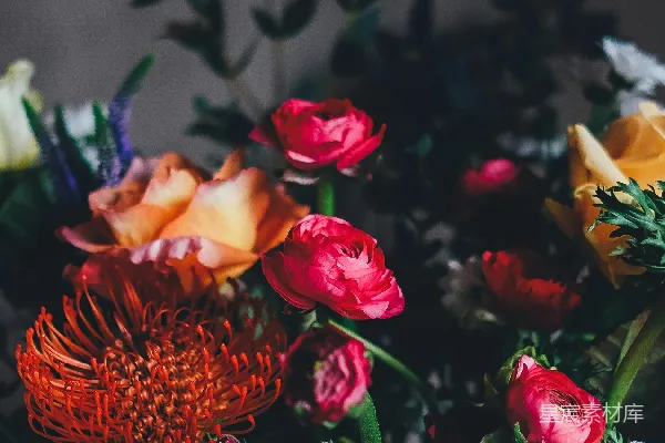 高清摄影 各种花朵组成的花环装饰室内房间