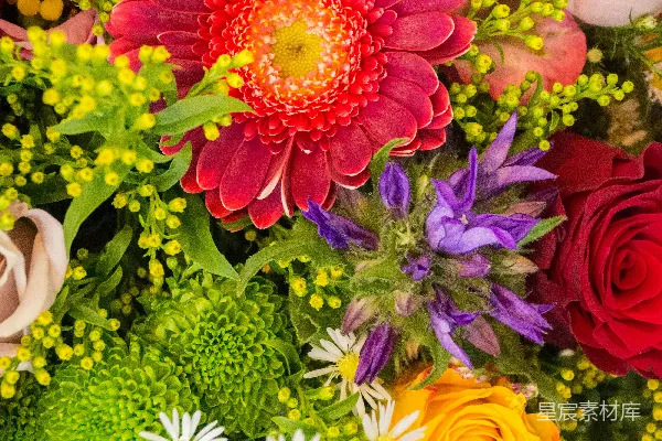 高清摄影 粉白花朵配绿叶