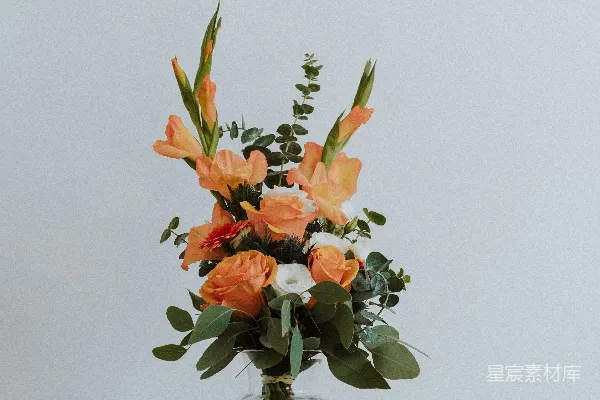 高清摄影 橙色花朵置于透明玻璃花瓶中