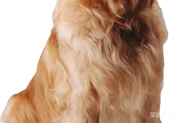 元素素材 透明