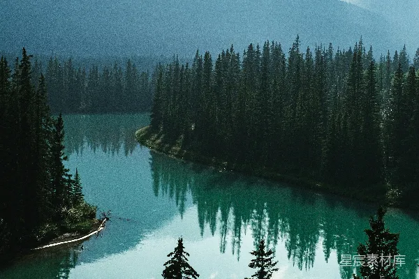 高清摄影 湖泊与松树