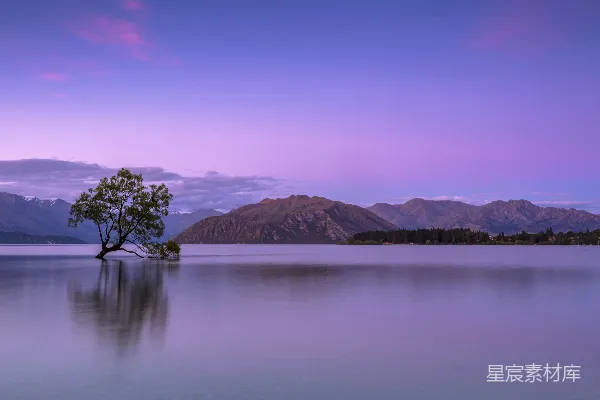 高清摄影 山间湖泊旁的树