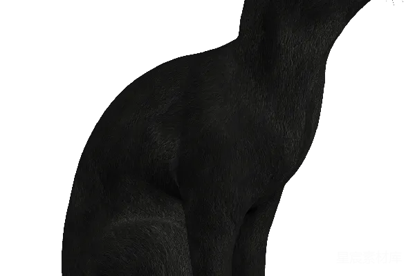 元素素材 黑色猫的侧面轮廓