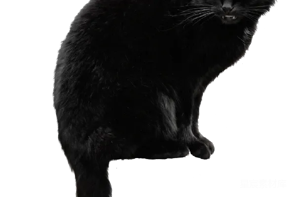 元素素材 黑猫跃起
