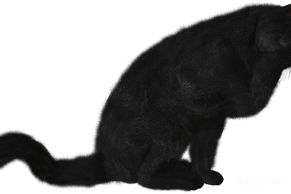 元素素材 黑色猫的3D模型