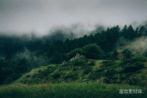 高清摄影 山被绿树覆盖