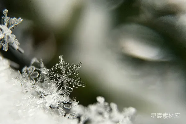 高清摄影 聚焦摄影雪花