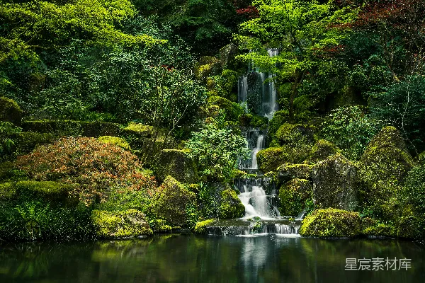 高清摄影 岩石瀑布附近的绿色苔藓
