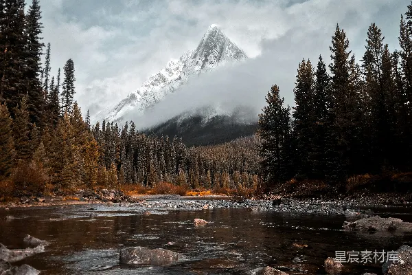 高清摄影 环绕着高树的河流和远处的高山 Alps