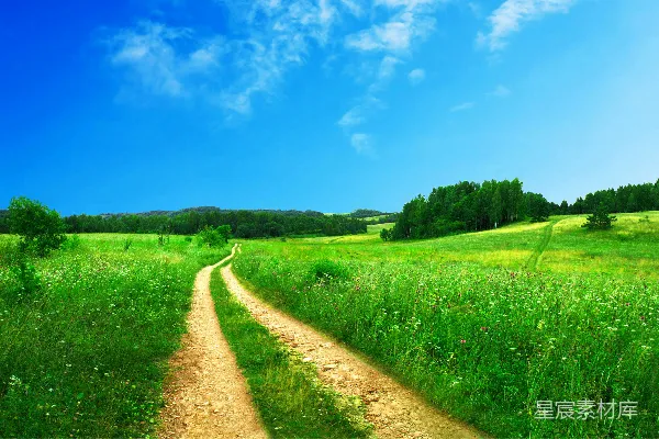 高清摄影 路旁有一片草地靠近树木，在白天。