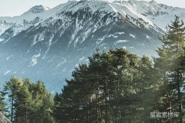 高清摄影 白天，沥青路旁有绿树，前方是被白雪覆盖的山。