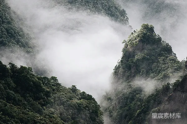 高清摄影 绿树被白云覆盖