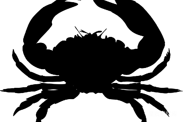 元素素材 癌症