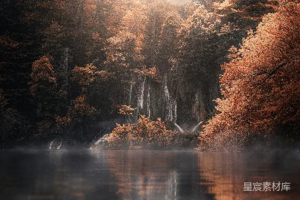 高清摄影 湖边秋天树木的风景