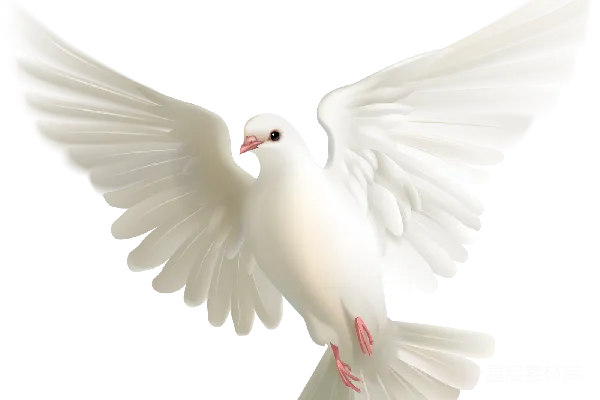 元素素材 透明