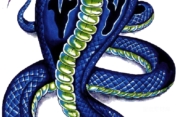 元素素材 cob大 Cobra