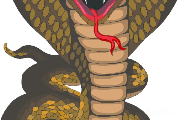 元素素材 cobra