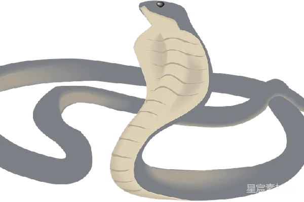 元素素材 cobra